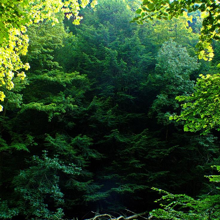 Overview of protected areas